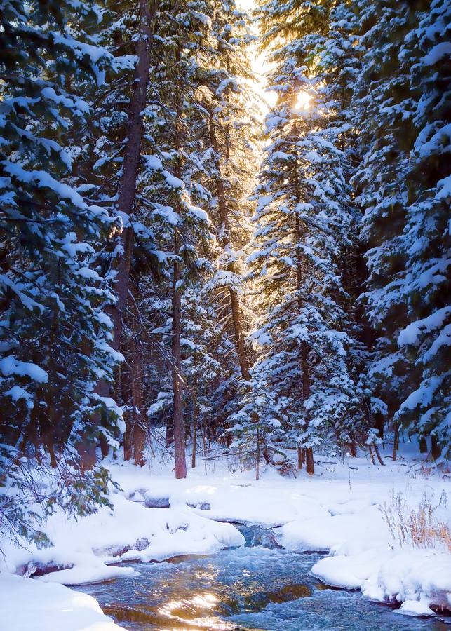 มองให้อาร์ท 71