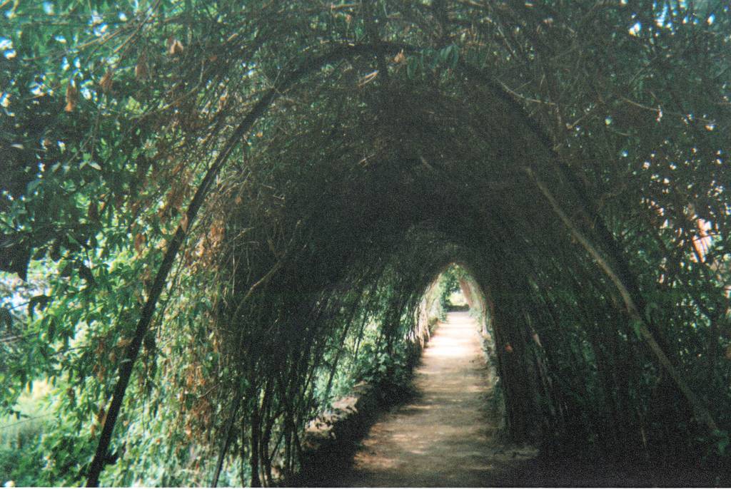 มองให้อาร์ท 71