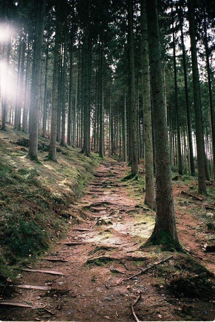 มองให้อาร์ท 71