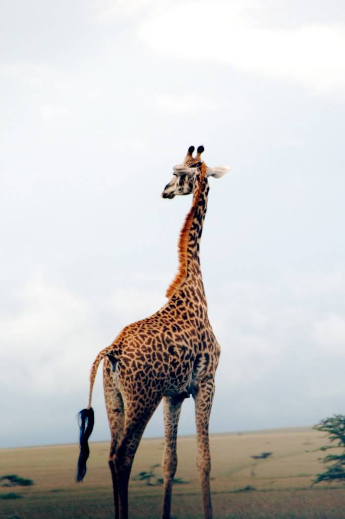 มองให้อาร์ท 71