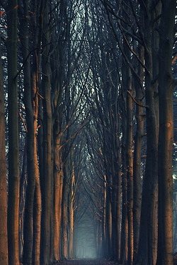 มองให้อาร์ท 71