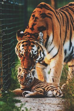 มองให้อาร์ท 72