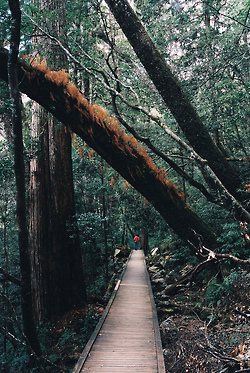 มองให้อาร์ท 72