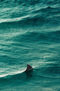 มองให้อาร์ท 73