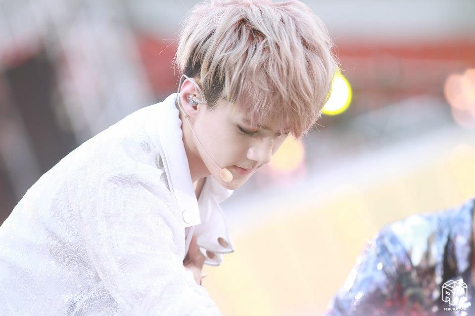 sehun exo-k
