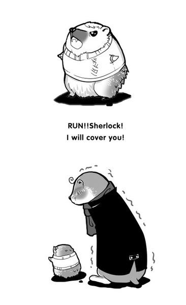 Sherlock Holmes - FanArt & photo