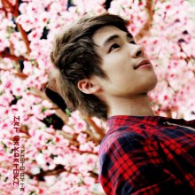 Nat Sakdatorn : Sakura, The Series