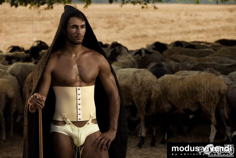 Modus Vivendi – Shepherd Line [Retro Greece collection] : HQ images