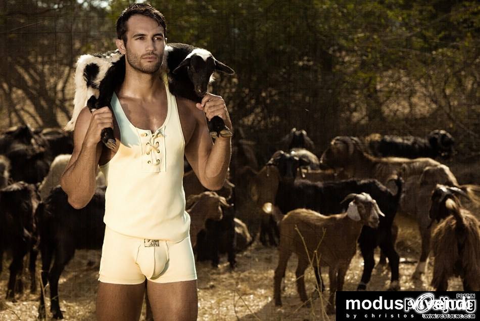 Modus Vivendi – Shepherd Line [Retro Greece collection] : HQ images