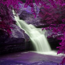 สวัสดีปีใหม่ครับ