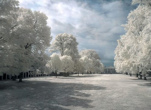 สวัสดีปีใหม่ครับ