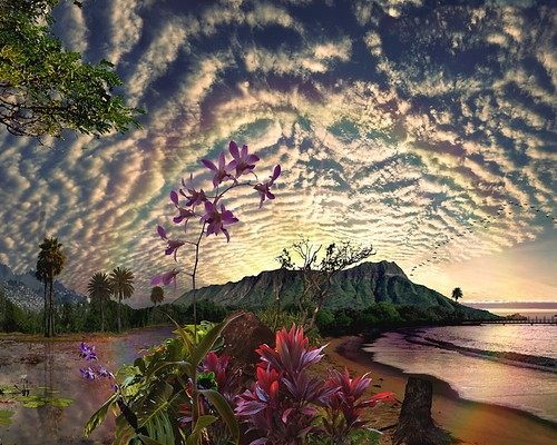 สวัสดีปีใหม่ครับ