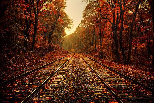 สวัสดีปีใหม่ครับ