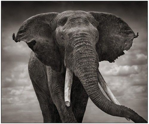 สวัสดีปีใหม่ครับ