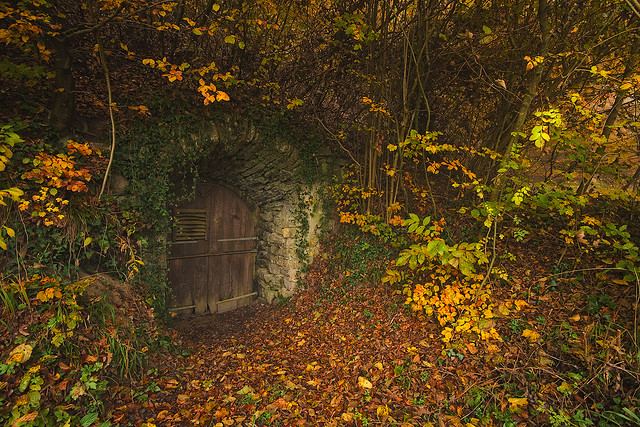 สวัสดีปีใหม่ครับ