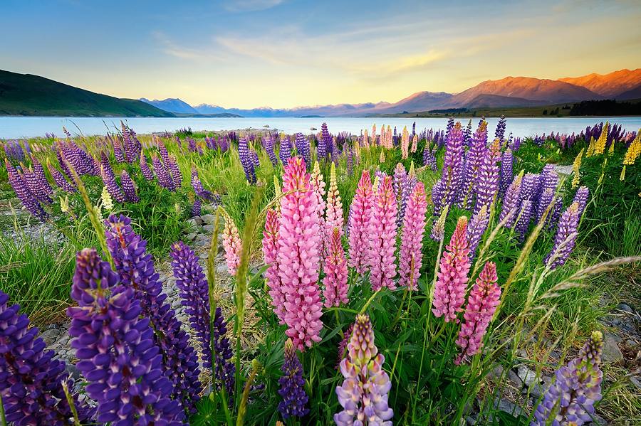 สวัสดีปีใหม่ครับ