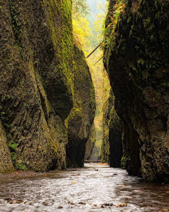 สวัสดีปีใหม่ครับ