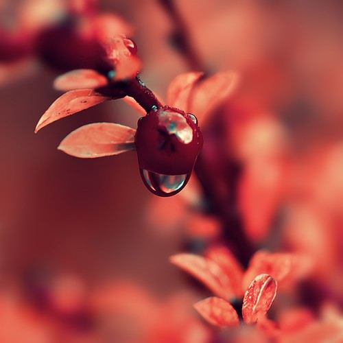 สวัสดีปีใหม่ครับ