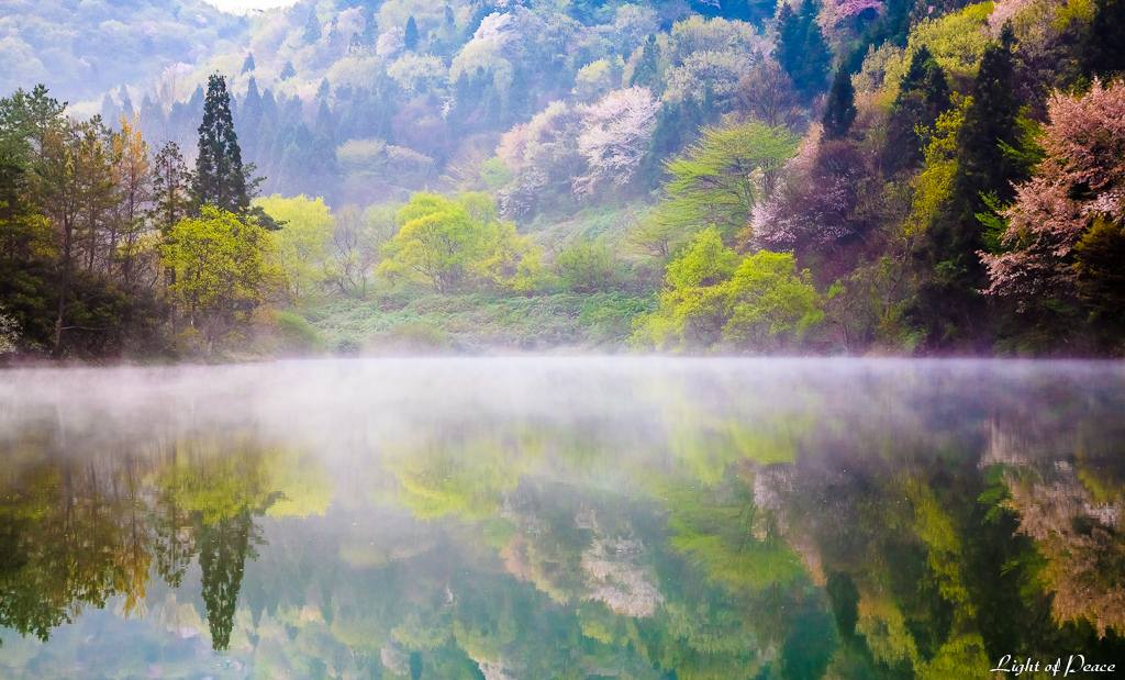 สวัสดีปีใหม่ครับ