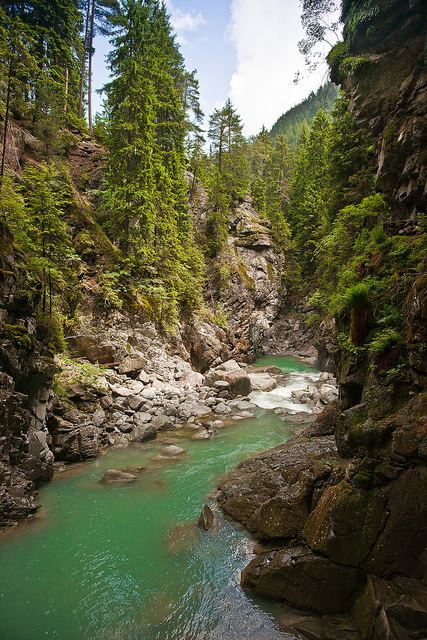 สวัสดีปีใหม่ครับ