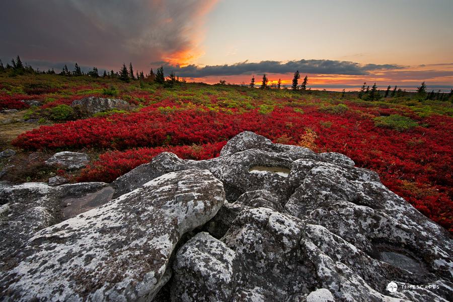 สวัสดีปีใหม่ครับ