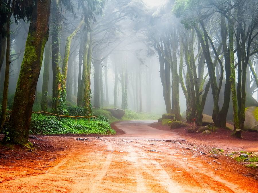 สวัสดีปีใหม่ครับ