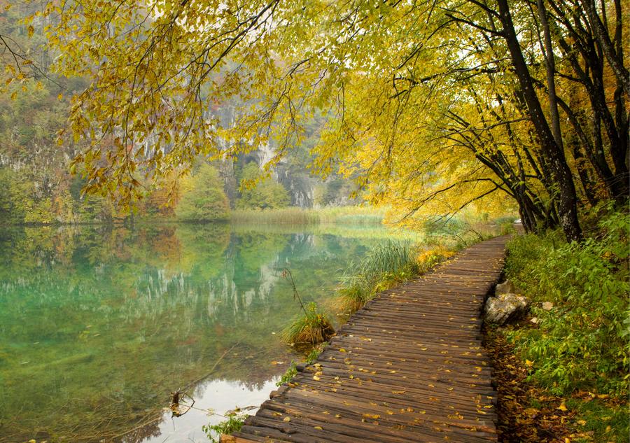 สวัสดีปีใหม่ครับ