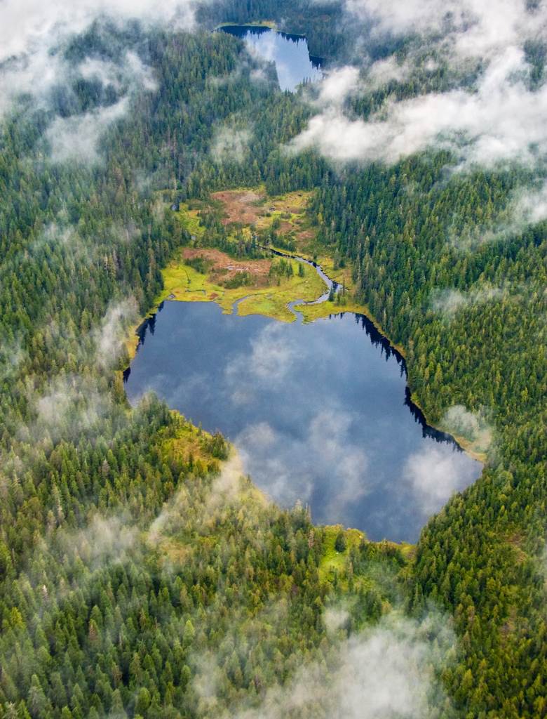 สวัสดีปีใหม่ครับ