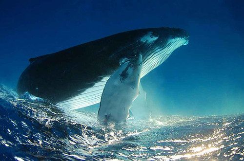 สวัสดีปีใหม่ครับ