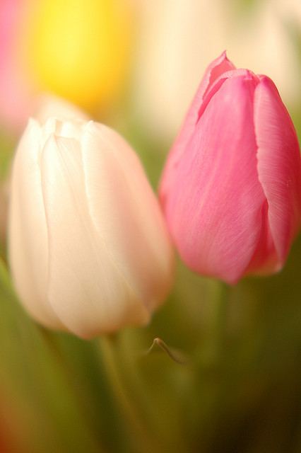 สีสันบนโลก 10