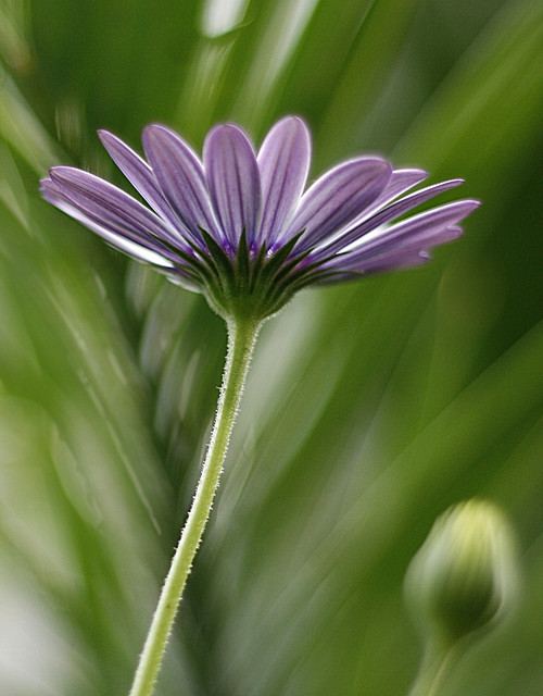 สีสันบนโลก 10