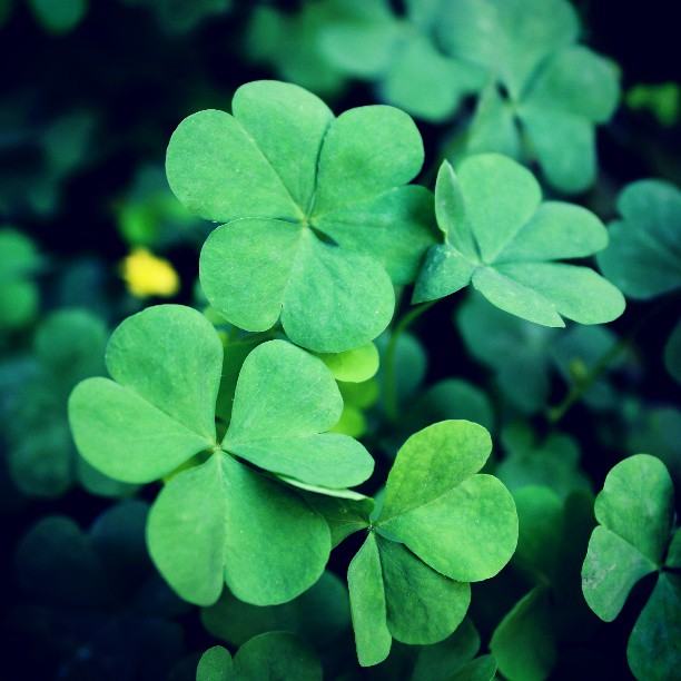 สีสันบนโลก 10