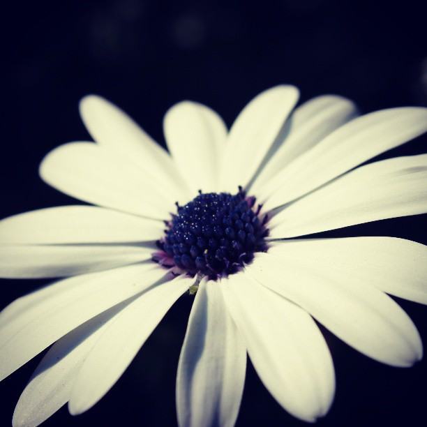 สีสันบนโลก 10