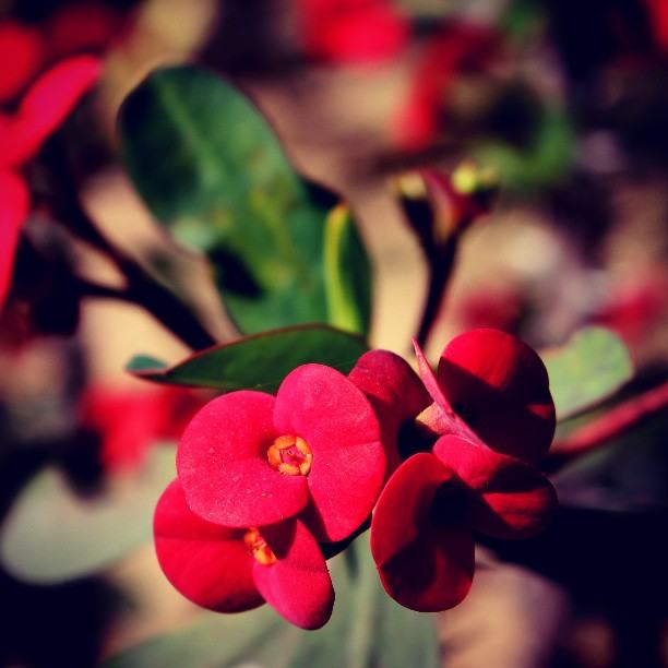 สีสันบนโลก 10