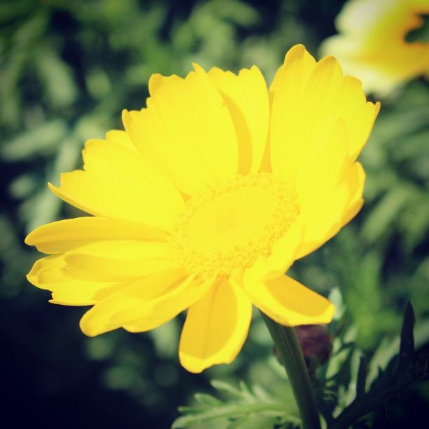 สีสันบนโลก 10