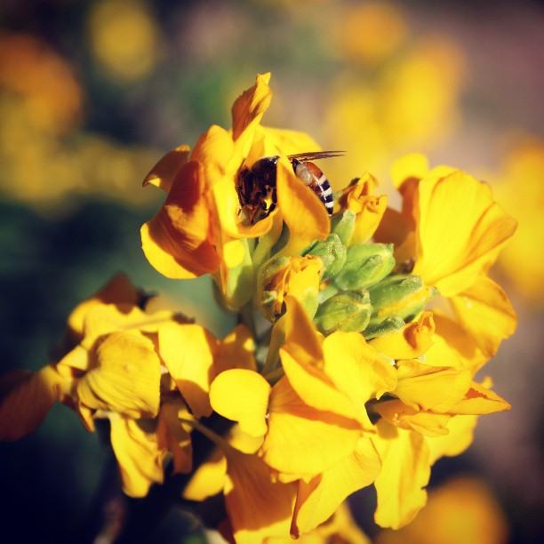 สีสันบนโลก 10