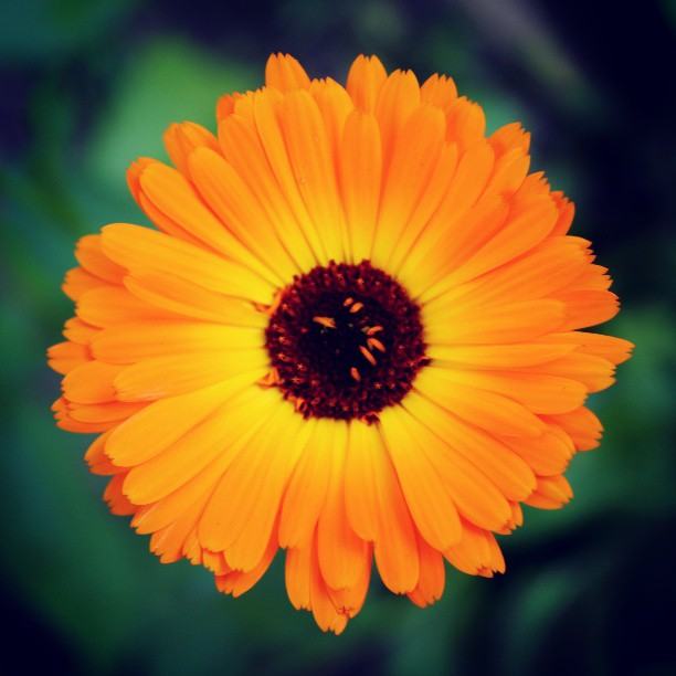 สีสันบนโลก 10