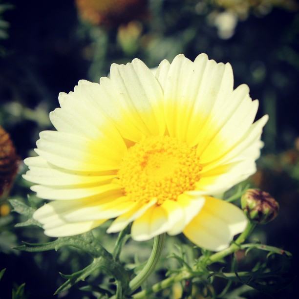 สีสันบนโลก 10