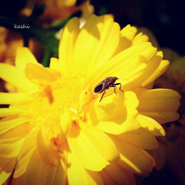 สีสันบนโลก 10