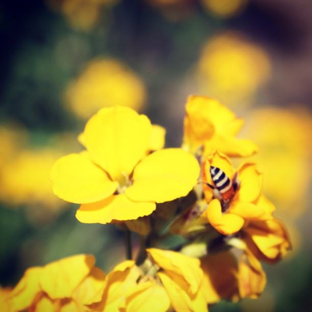 สีสันบนโลก 10