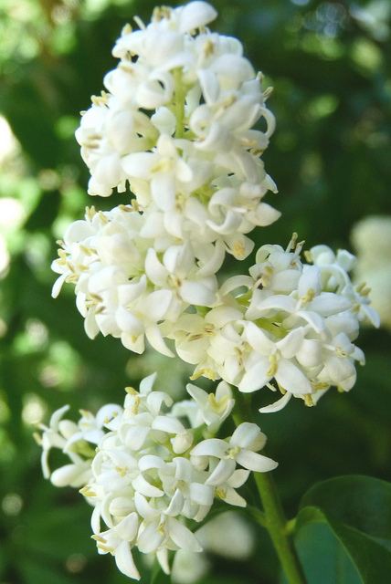 สีสันบนโลก 10