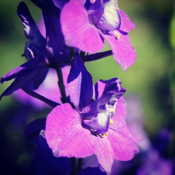 สีสันบนโลก 10