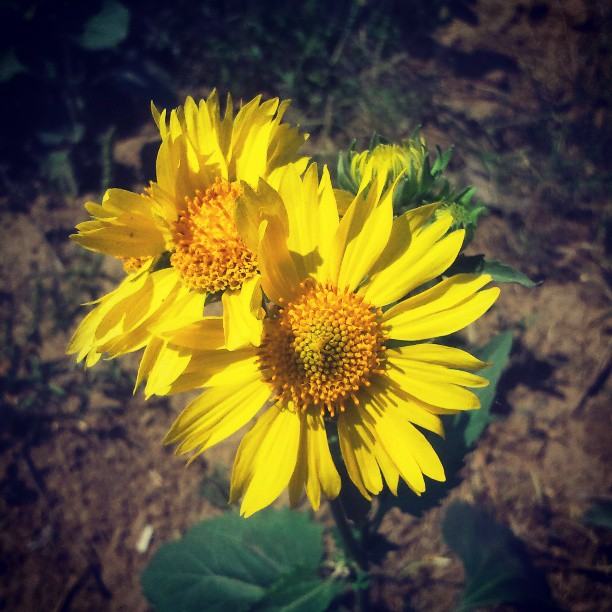 สีสันบนโลก 10