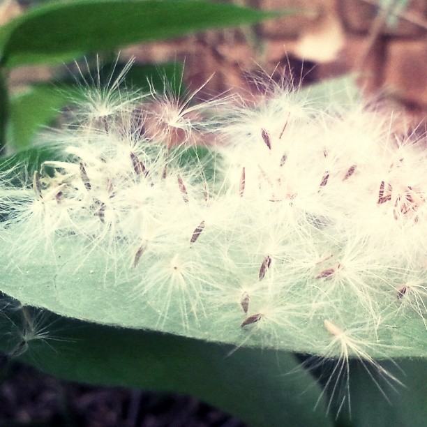 สีสันบนโลก 10