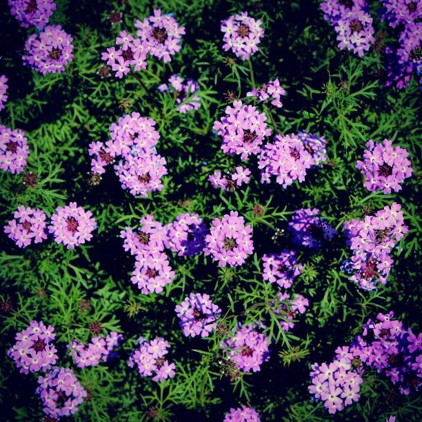 สีสันบนโลก 10