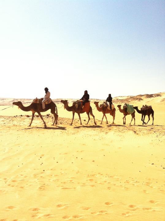 อลังการงานสร้าง บรรยากาศถ่ายทำละคร ฟ้าจรดทราย ช่อง7สี ณ >>>>>>>>>ประเทศ อียิปส์ เริ่ดเว่อร์