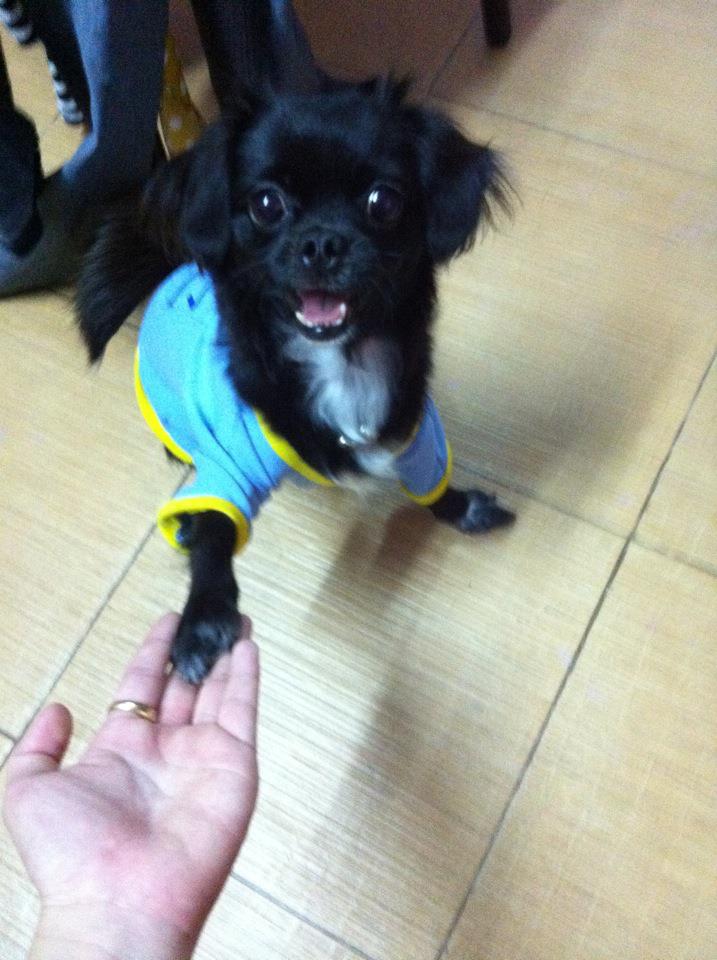 หมาน้อยนักโพส ^^