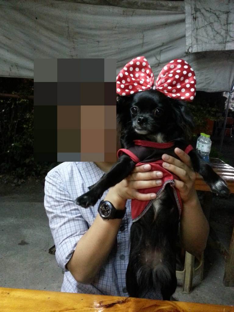 หมาน้อยนักโพส ^^