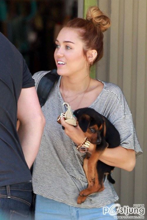 คนรักดาราสาวสวย 003 -  Miley Cyrus