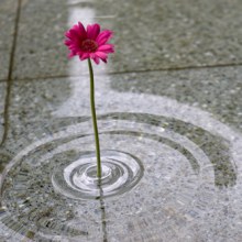 Ripple Flower Vase by Taku Omura